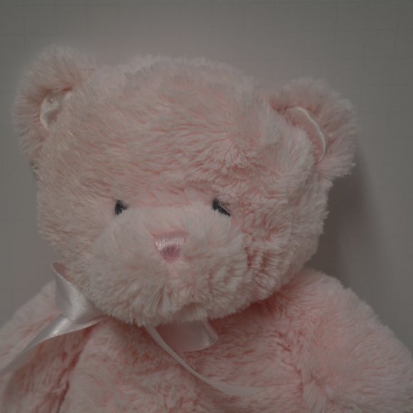 Gund My 1st Teddy Bear Plush Toy - 18 Inch Pink Stuffed Animal For Babies & Newborns